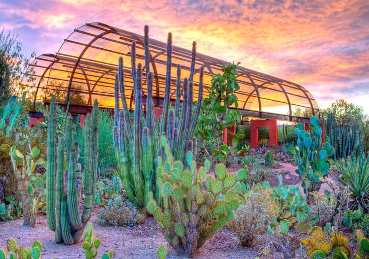 Unveiling Phoenix: Must-Visit Attractions and Activities
